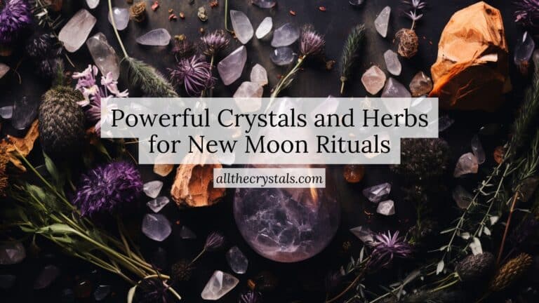 Powerful Crystals and Herbs for New Moon Rituals